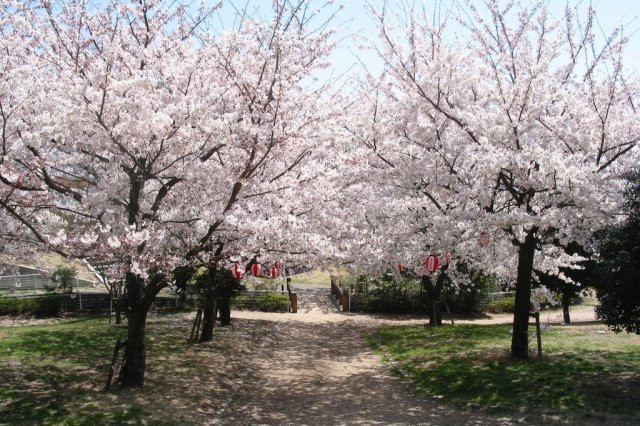 道路休息站 小豆島橄欖樹公園