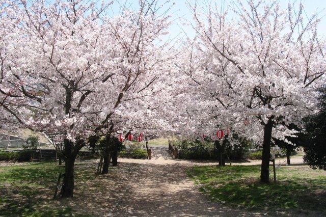 道之驛　小豆島橄欖樹公園