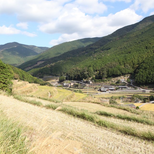 山出の棚田