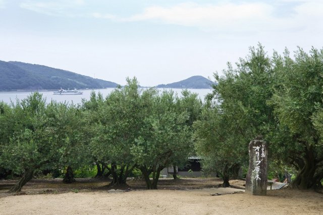 小豆島オリーブ園