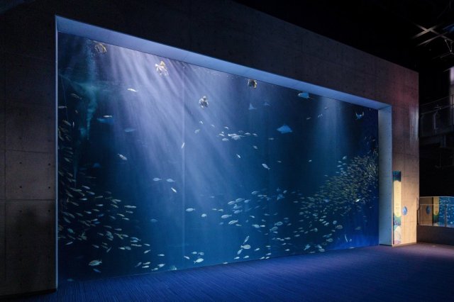 Shikoku Aquarium