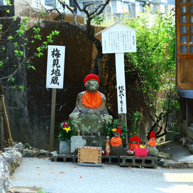 第30番札所 百々山 東明院 善楽寺