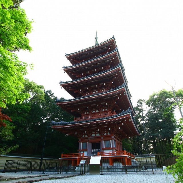 Temple 31, Chikurinji