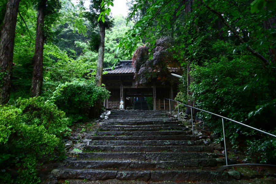 第36番札所 独鈷山 伊舎那院 青龍寺｜スポット・体験｜四国のおすすめ 