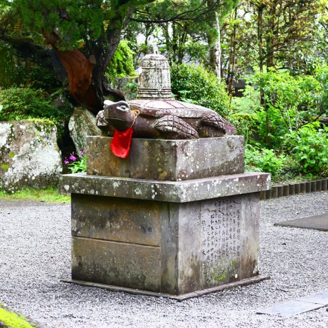 第39番札所 赤亀山 寺山院 延光寺