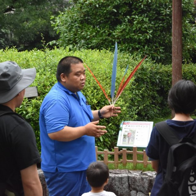 愛媛県立とべ動物園　ZOOタイム1130