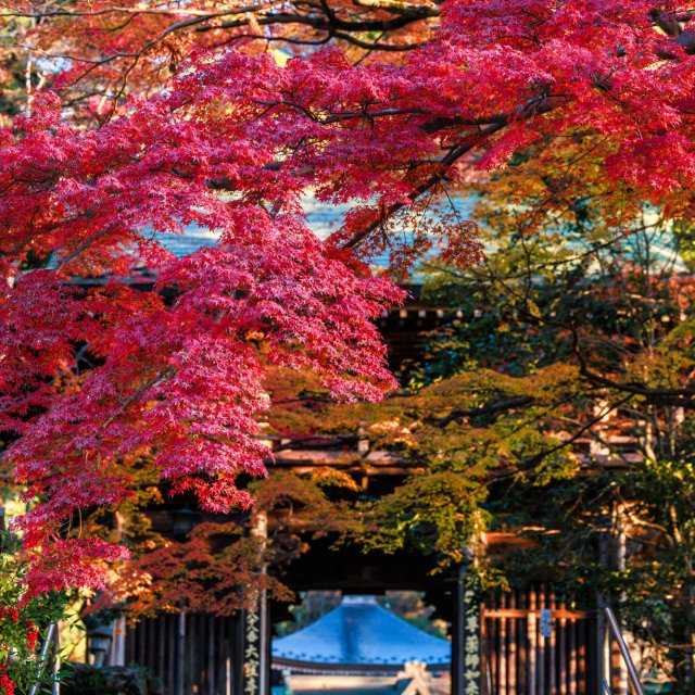 Temple 88, Ōkuboji