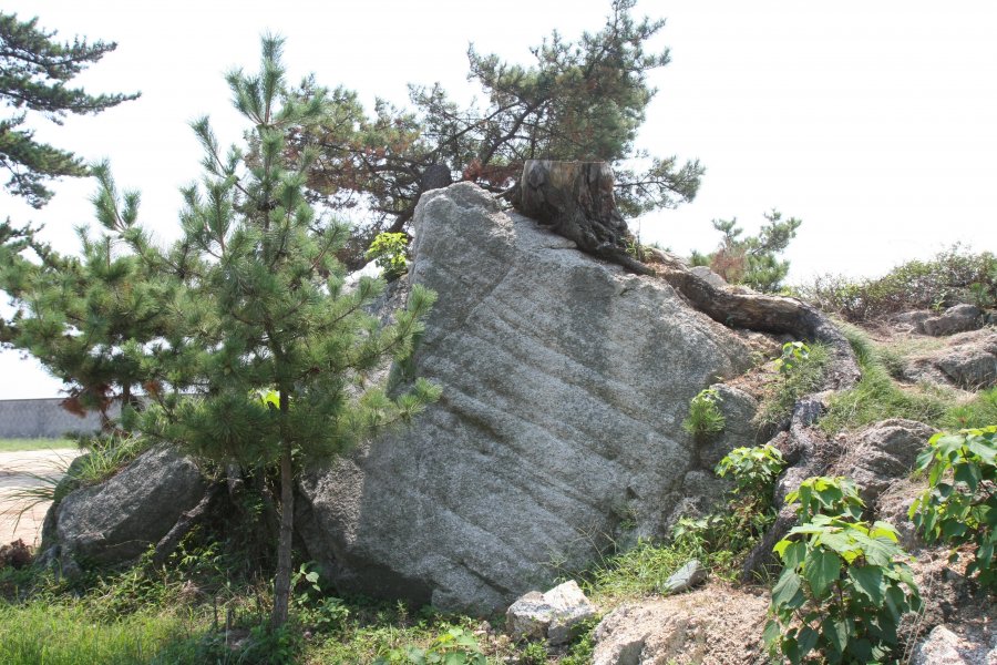 志島ヶ原