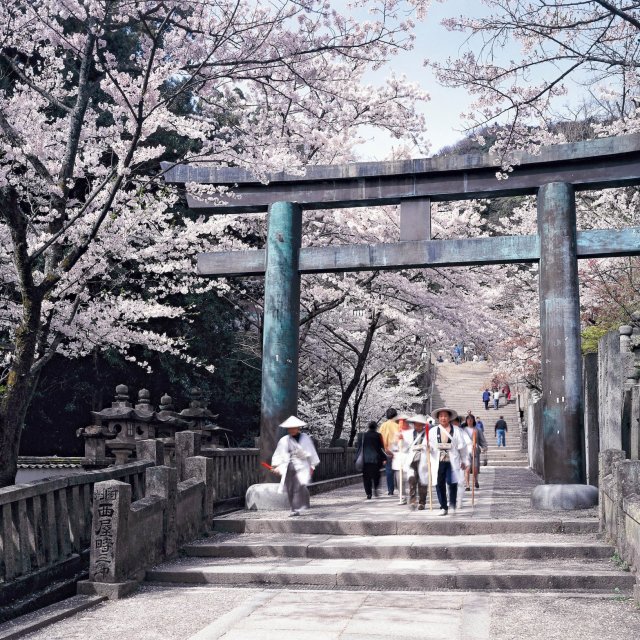 Sanctuaire de Kotohiragu