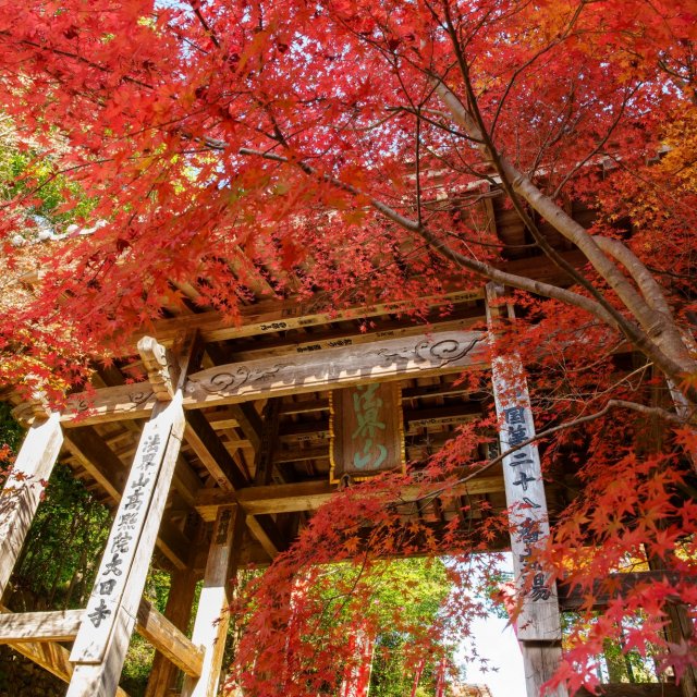 The 28th Sacred Site Dainichi Temple 