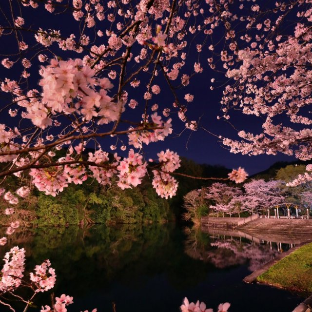 香川縣  戶川水庫公園