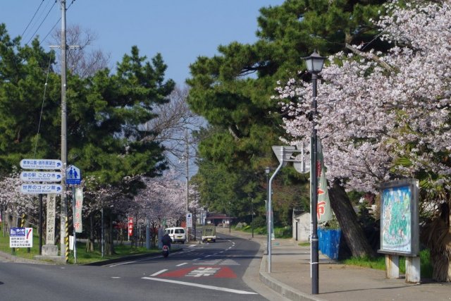 名勝　琴弾公園