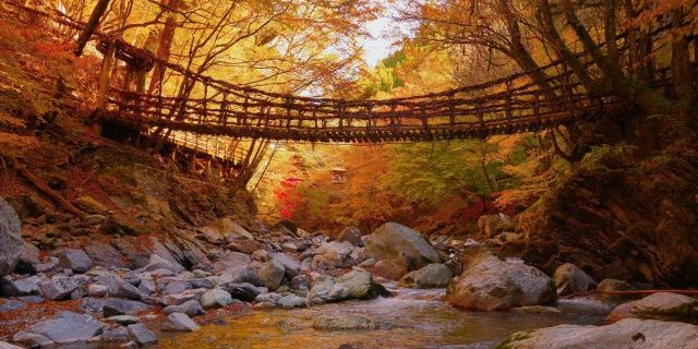 感受自然之旅（德島→高知）3天2晚