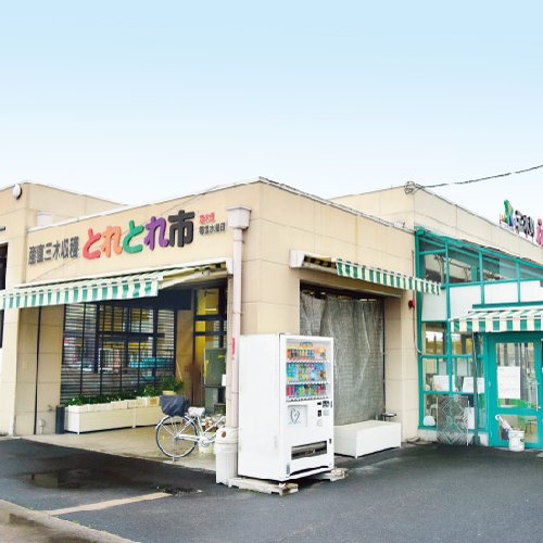 ＪＡ香川県 三木収穫市