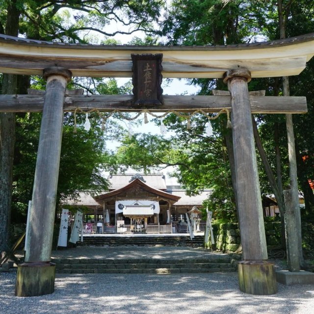 土佐神社（しなね様）