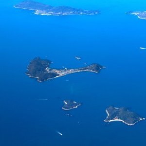 大島
