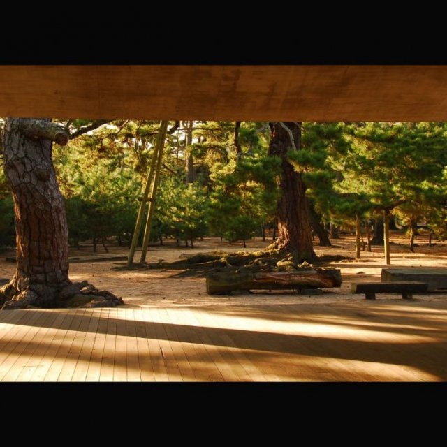 津田の松原・琴林公園