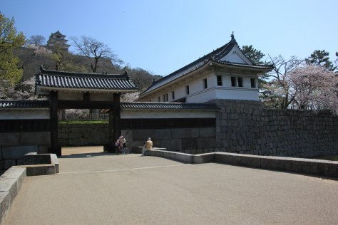 Château de Marugame