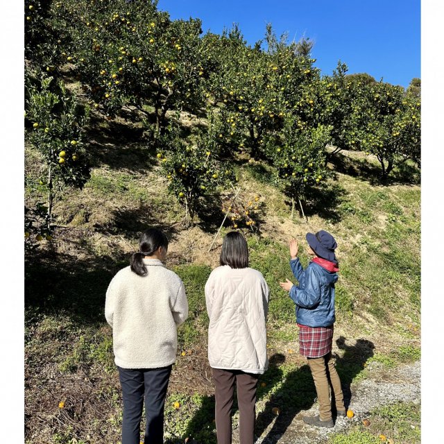 Fruit cultivation in Sukumo, linking thoughts from the past to the future.