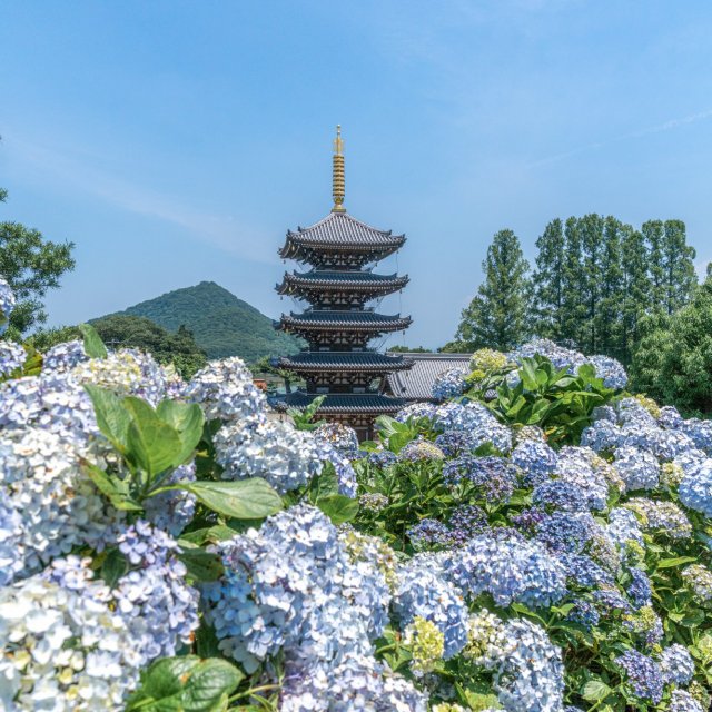 法然寺