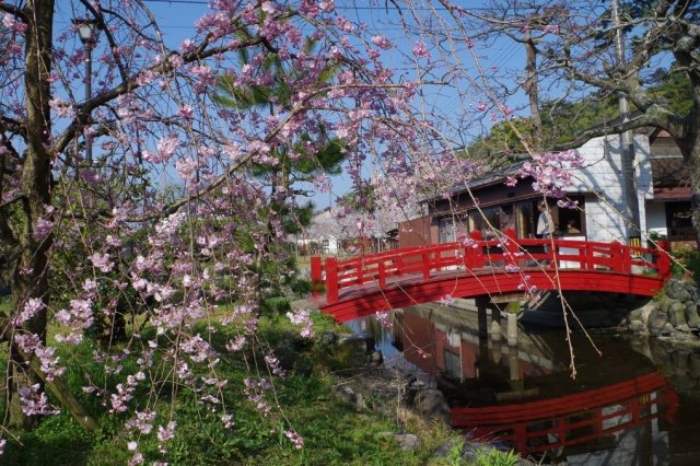 錢形砂繪（琴彈公園）