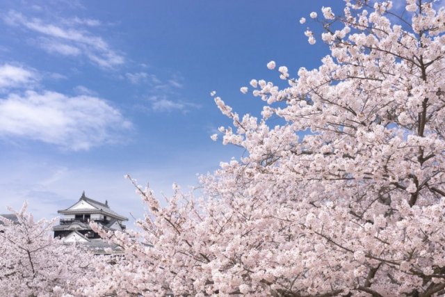 松山城天守閣