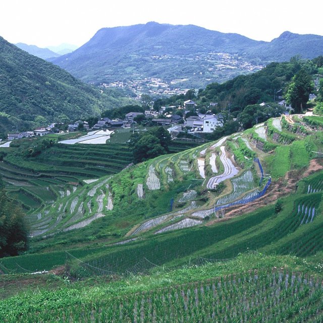 A walking tour and experience tour to enjoy Nakayama Senmaida rice fields and the Rural Kabuki Theatre