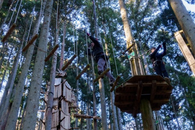 Forest Adventure冒險之森祖谷