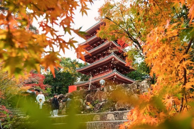 Chikurin-ji Temple 