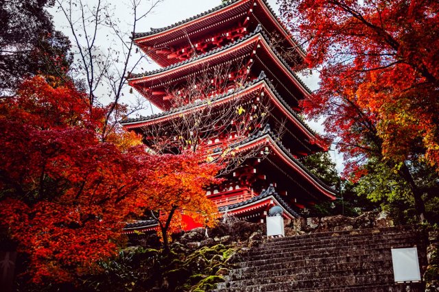 Chikurin-ji Temple 