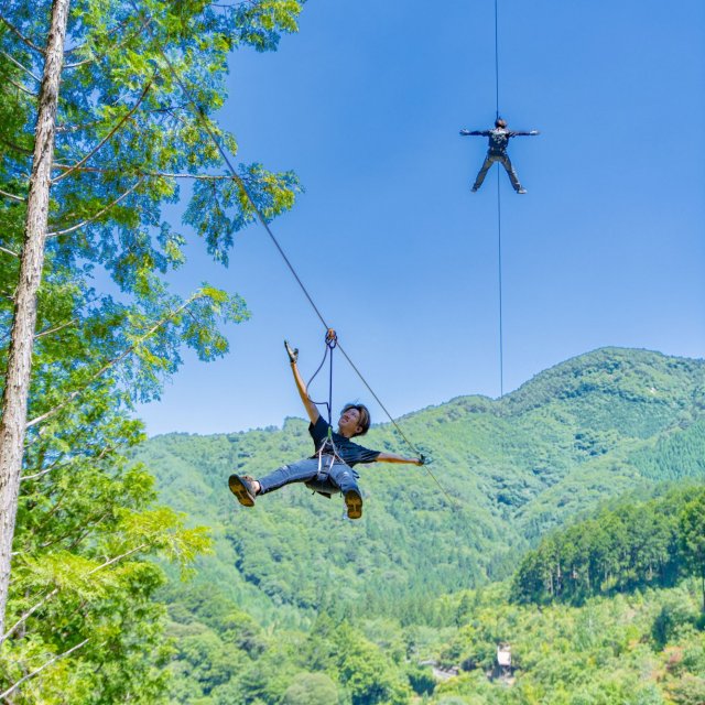 高知森林探險