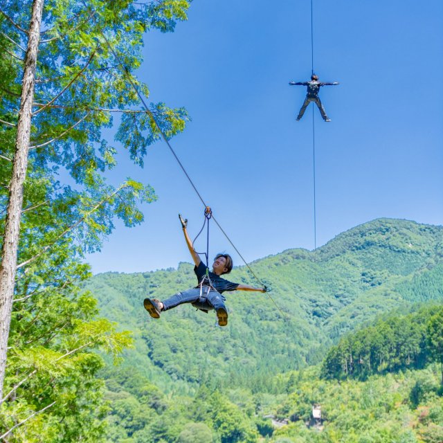 高知森林探险