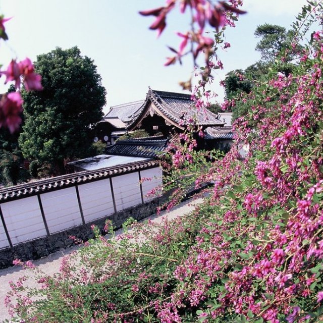 萩原寺