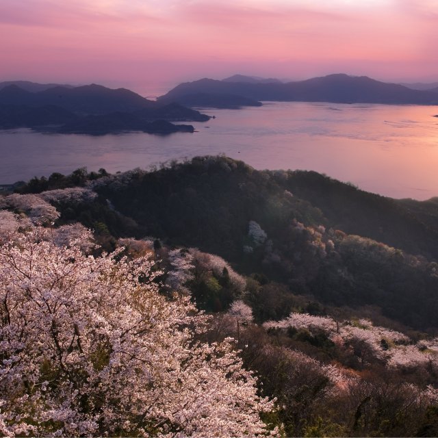 积善山