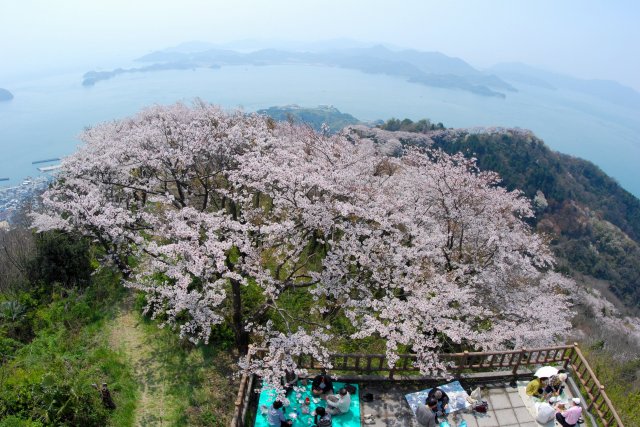 積善山
