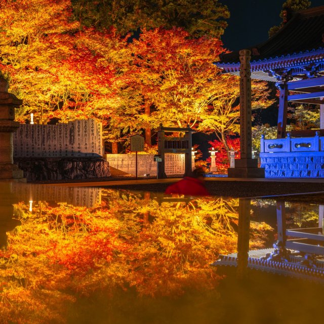 雲邊寺（繡球花、秋葉、雪景、空中鞦韆）