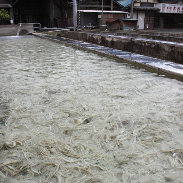 大洲和紙（Ozu Washi，大洲傳統手工和紙）