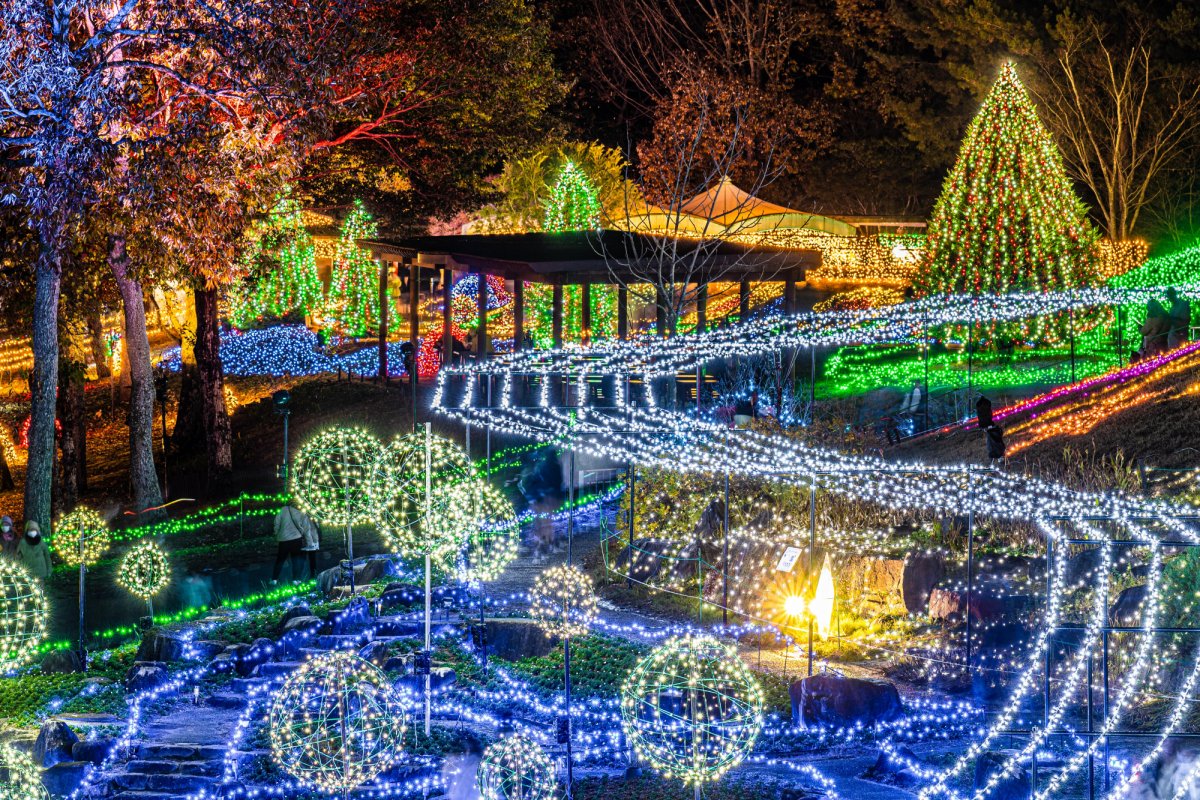 クリスマス☆イルミネーション☆④ udxmas03.JPG