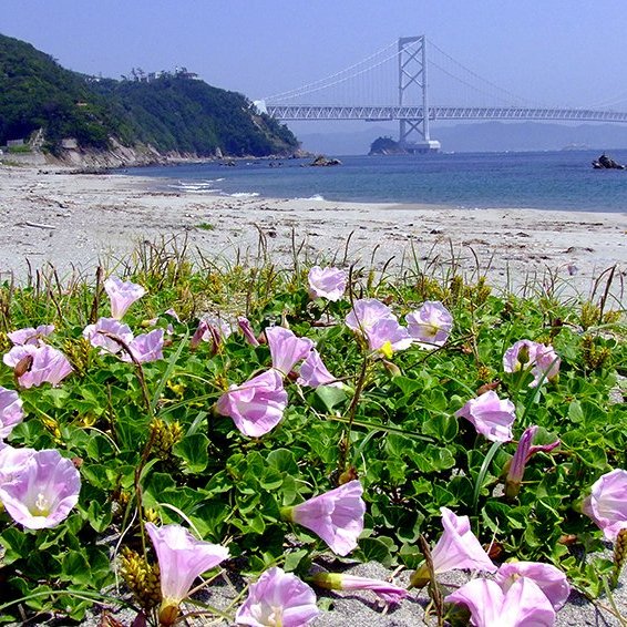 千鳥ヶ浜海岸
