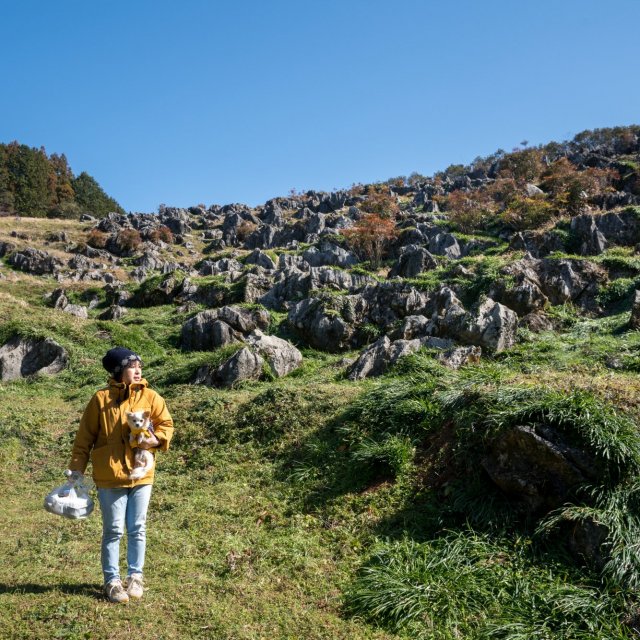 Naumann Karst in Sakawa Town 
