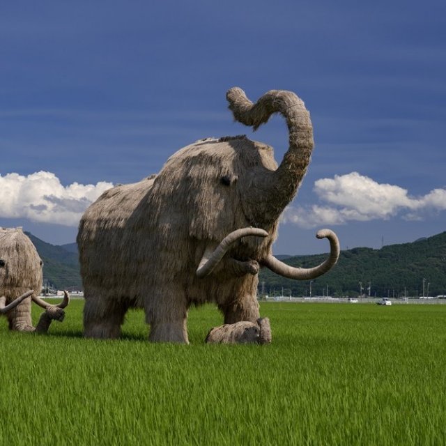 Wara mammoth (straw mammoth)