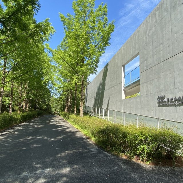 横倉山自然の森博物館