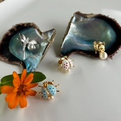 「生珠」（なまだま）の真珠でアクセサリーづくり体験