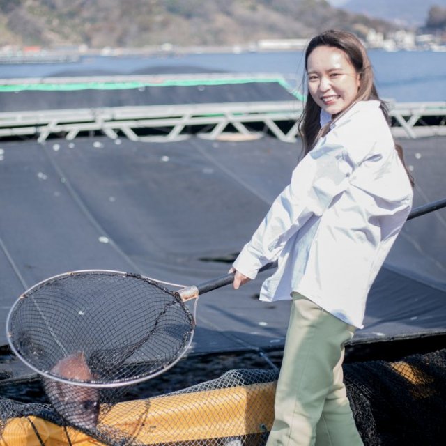 みかん鯛養殖体験