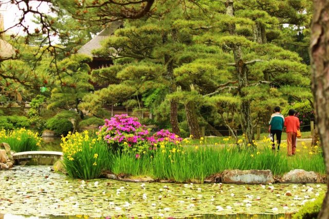 中津万象園・丸亀美術館