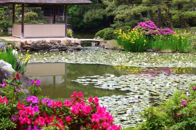 中津万象園・丸亀美術館