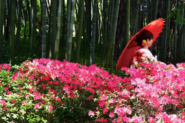 中津万象園・丸亀美術館