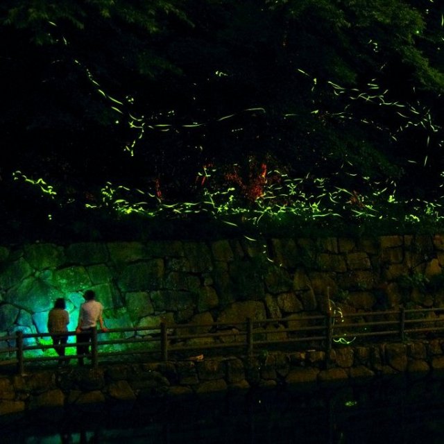 ほたる見公園
