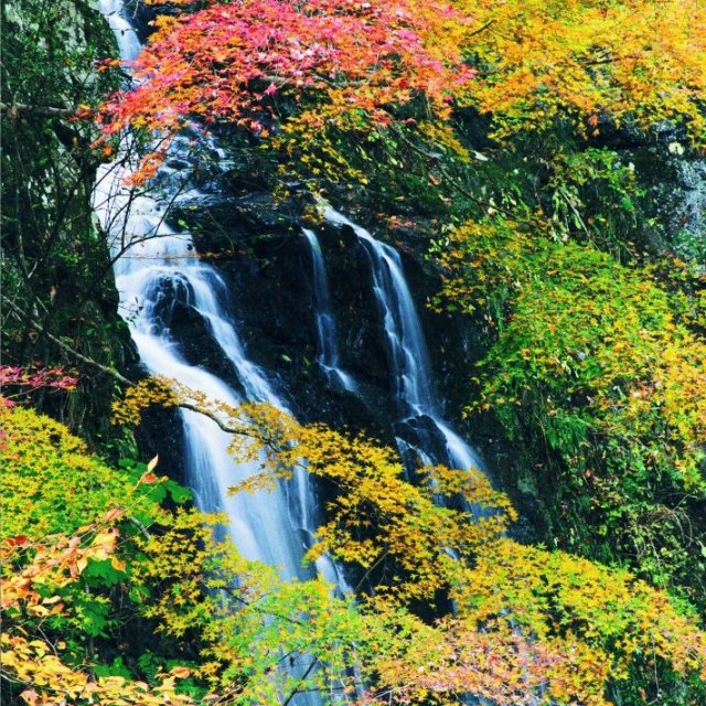 小橋滝