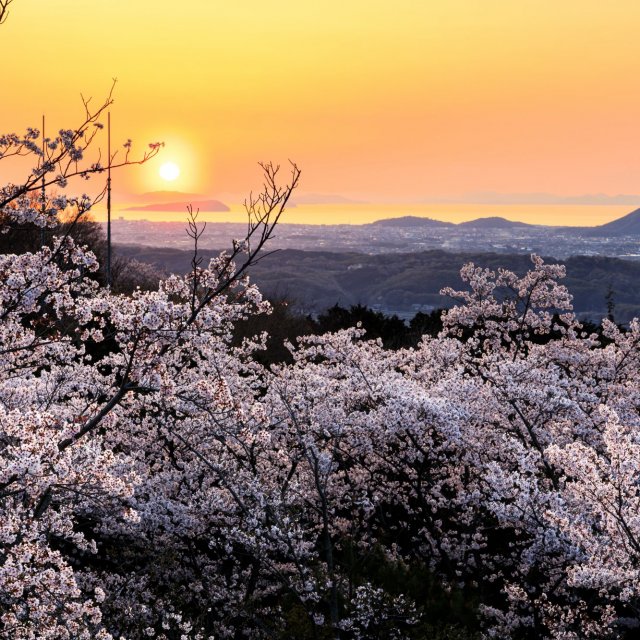 塔重山公園